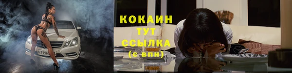 прущий лед Горняк