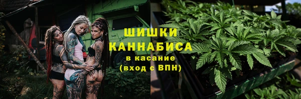 тгк Горно-Алтайск