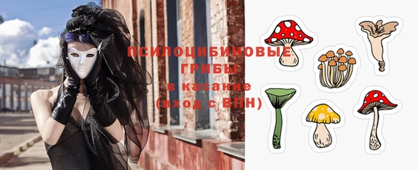 прущий лед Горняк