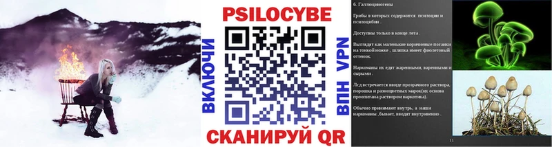 Купить закладки  Большой Камень  Галлюциногенные грибы мицелий 